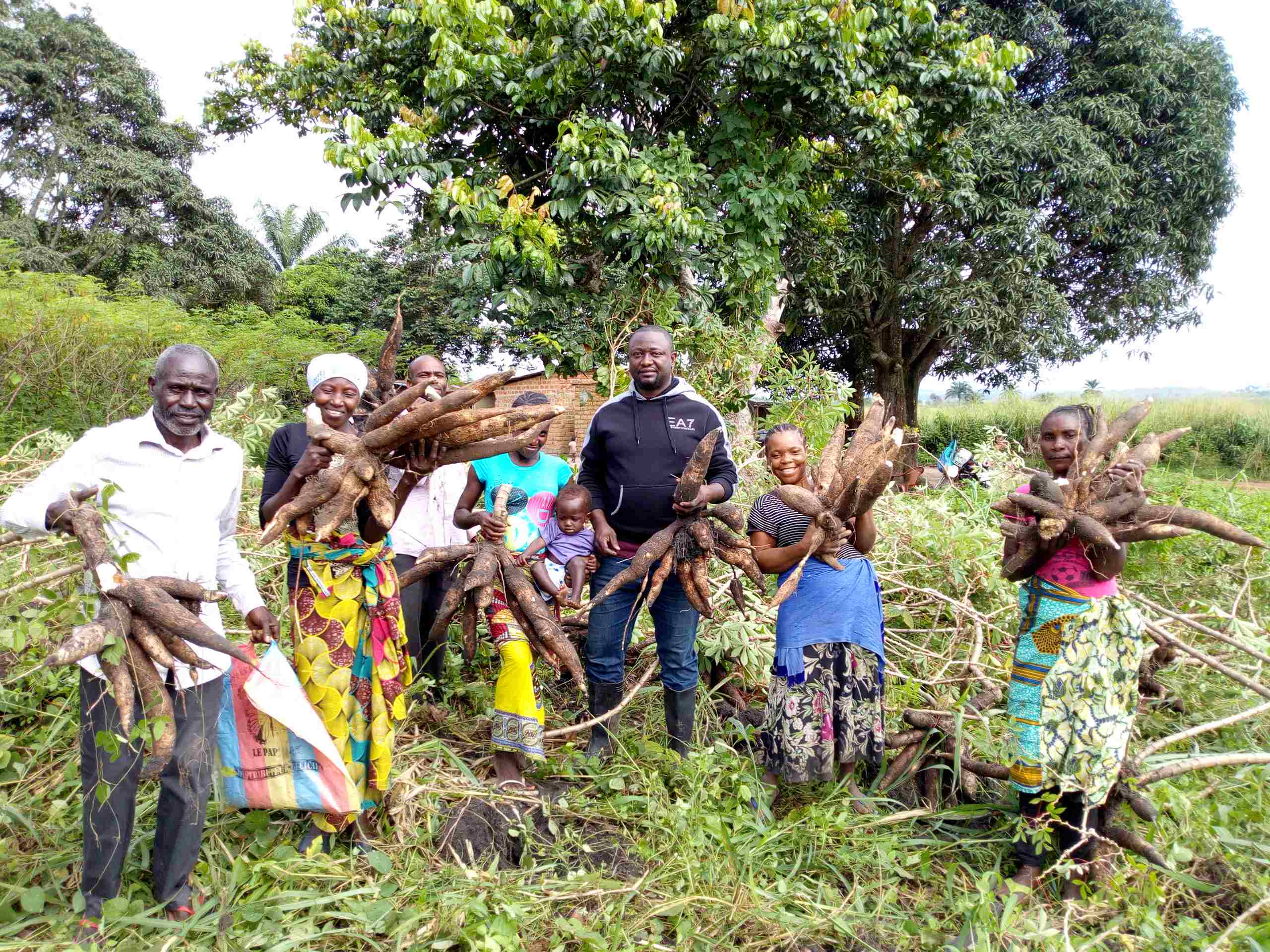 Agriculture et Elevage