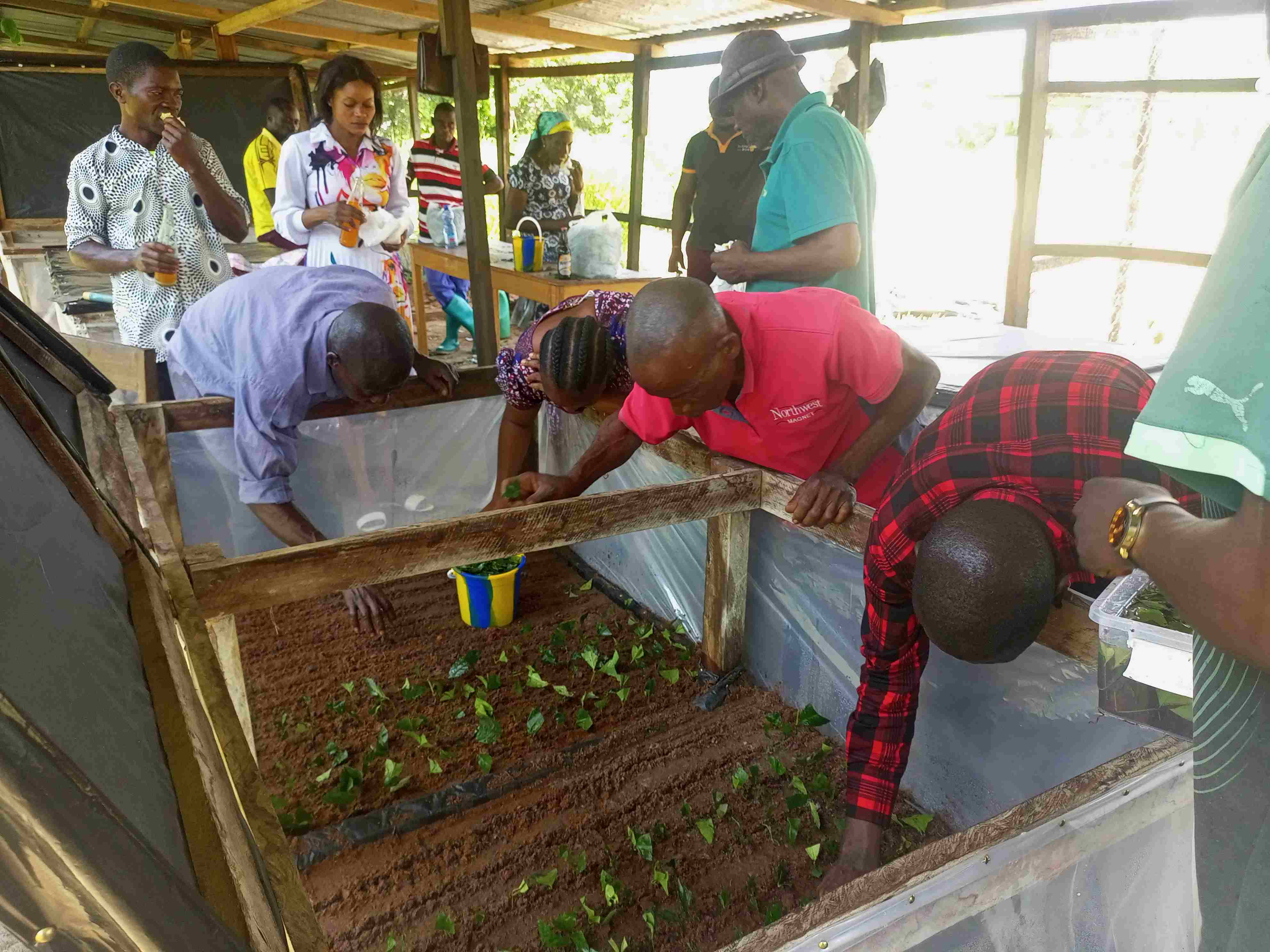 Photo principale du projet